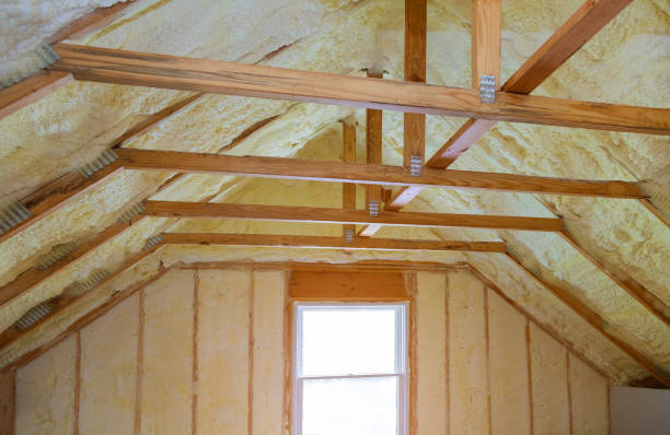 Best Residential Insulation in Warren, IL
