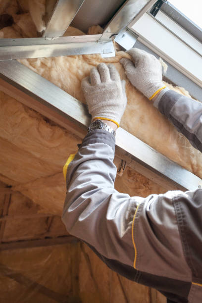 Best Spray Foam Insulation in Warren, IL
