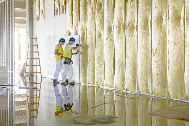 Best Energy Efficiency Insulation in Warren, IL